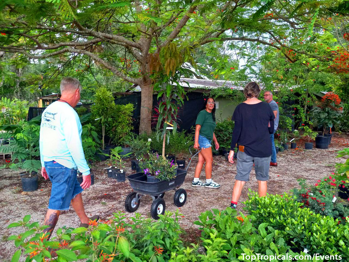 Top Tropicals Summer Plant Market Extravaganza