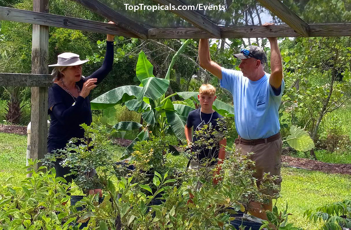 Top Tropicals Summer Plant Market Extravaganza