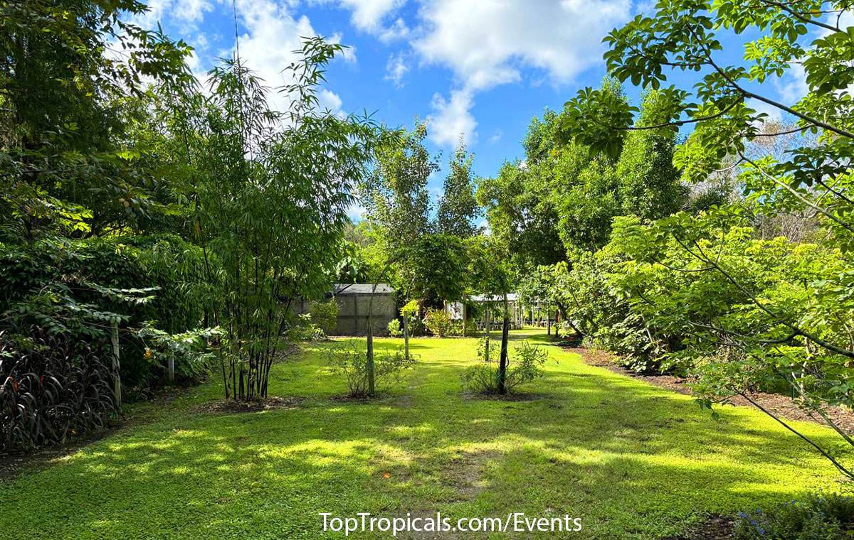 Top Tropicals Garden Events