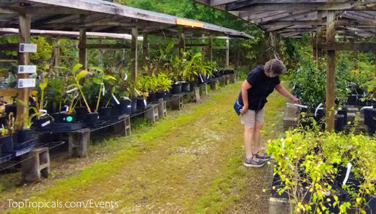 Top Tropicals Plant Festival 