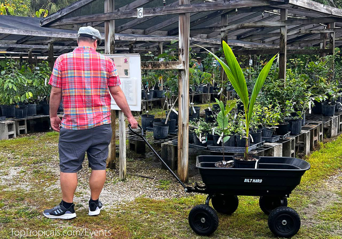 Customers of Top Tropicals Plant Festival 