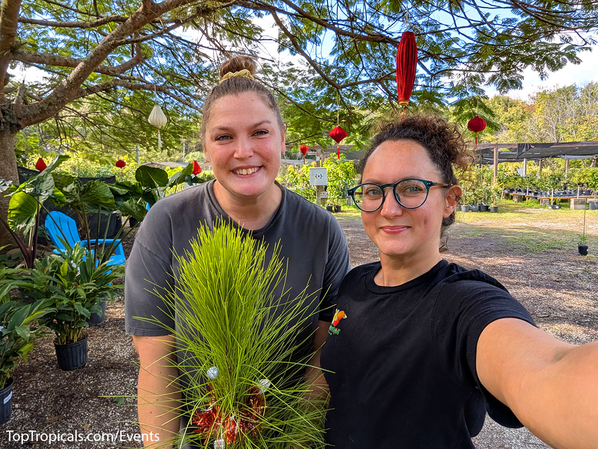 Holiday Plant Market on December  13, 2025