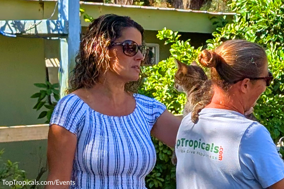 Holiday Plant Market on December  13, 2025