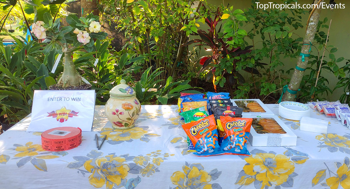 Holiday Plant Market on December 13, 2025