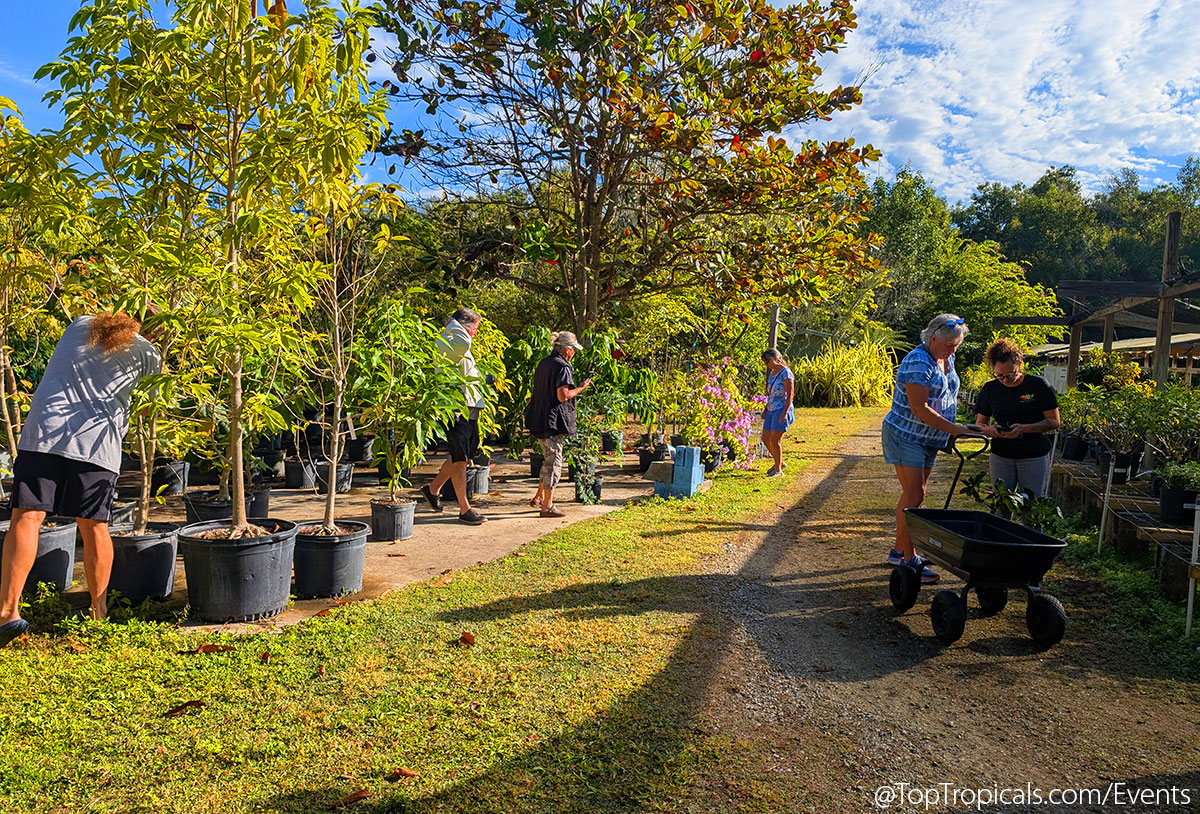 Holiday Plant Market on December 13, 2025