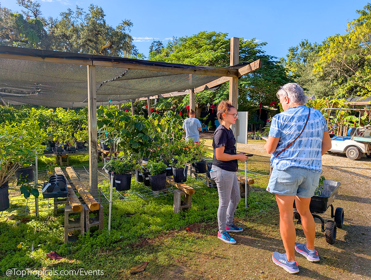 Holiday Plant Market on December 13, 2025