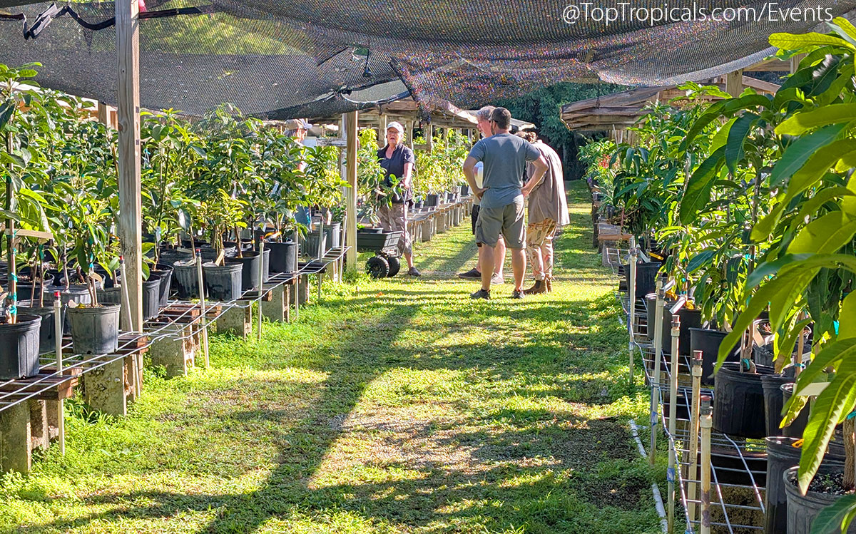 Holiday Plant Market on December 13, 2025