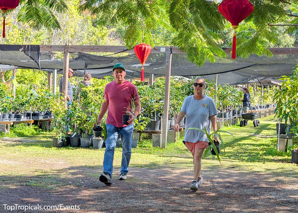 Holiday Plant Market on December 13, 2025