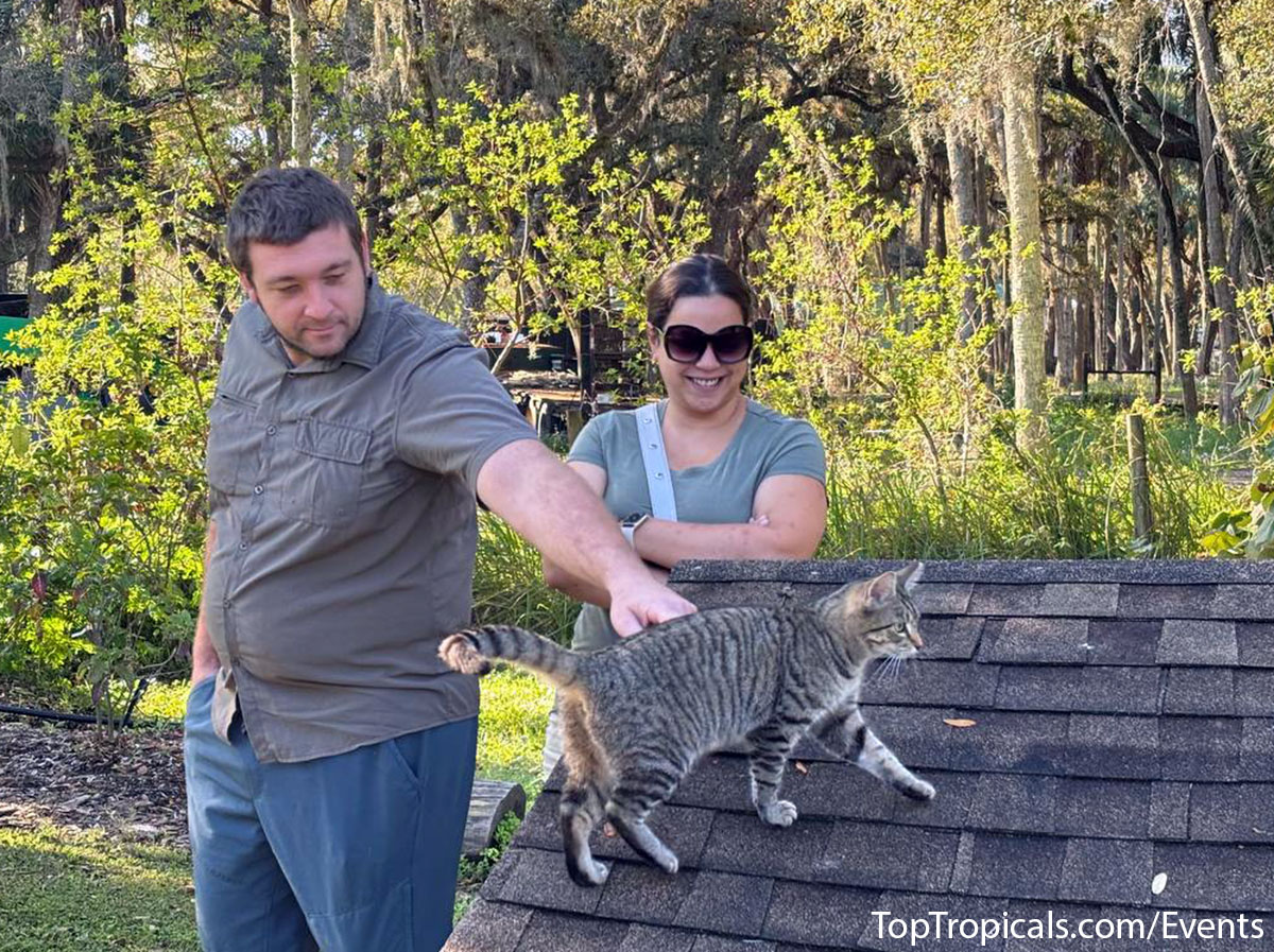 Holiday Plant Market on December  13, 2025