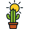 Light requirements pictogram for cactus care guide