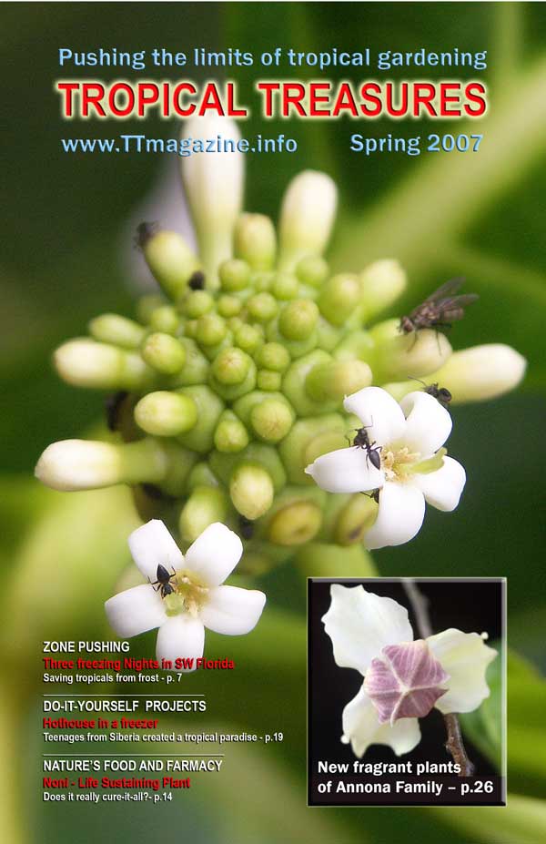 Tropical Treasures Magazine - 1 (Spring-2007) - PDF file download 