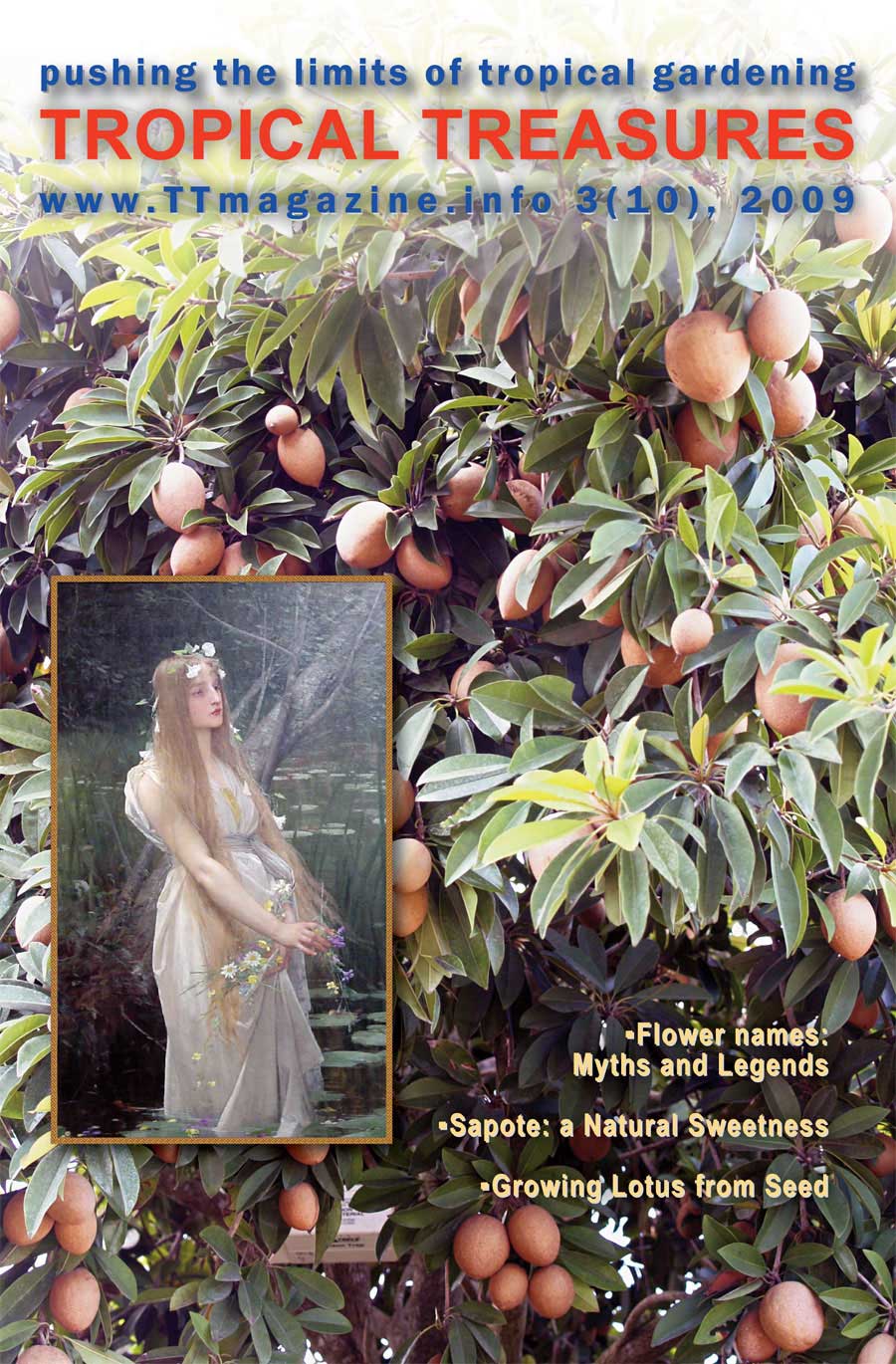 Tropical Treasures Magazine - 10 (3-2009) - PDF file download 