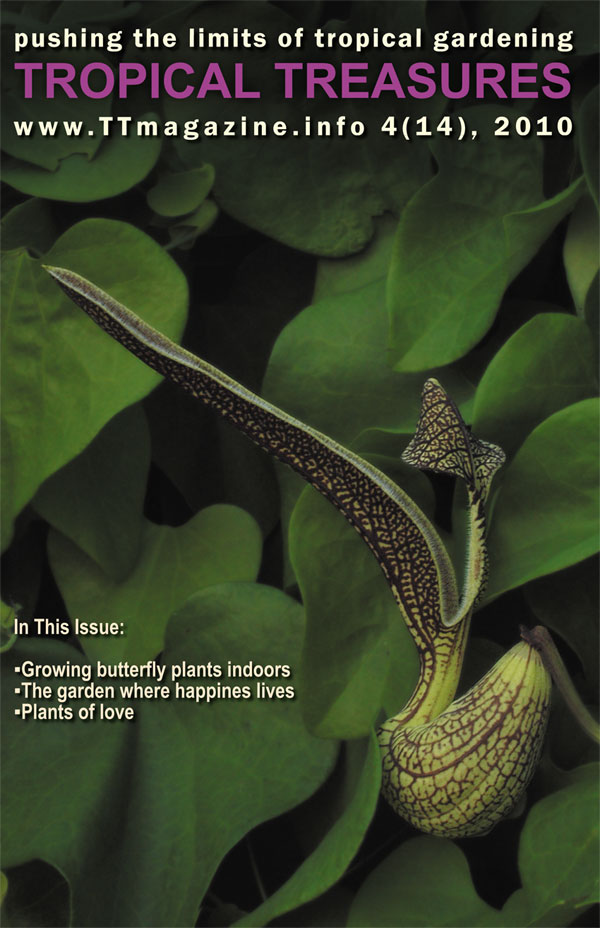 Tropical Treasures Magazine - 14 (4-2010) - PDF file download 