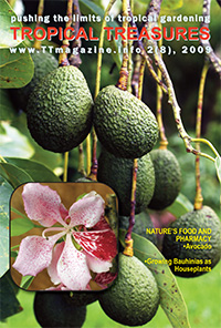 Tropical Treasures Magazine - 9 (2-2009) - PDF file download 