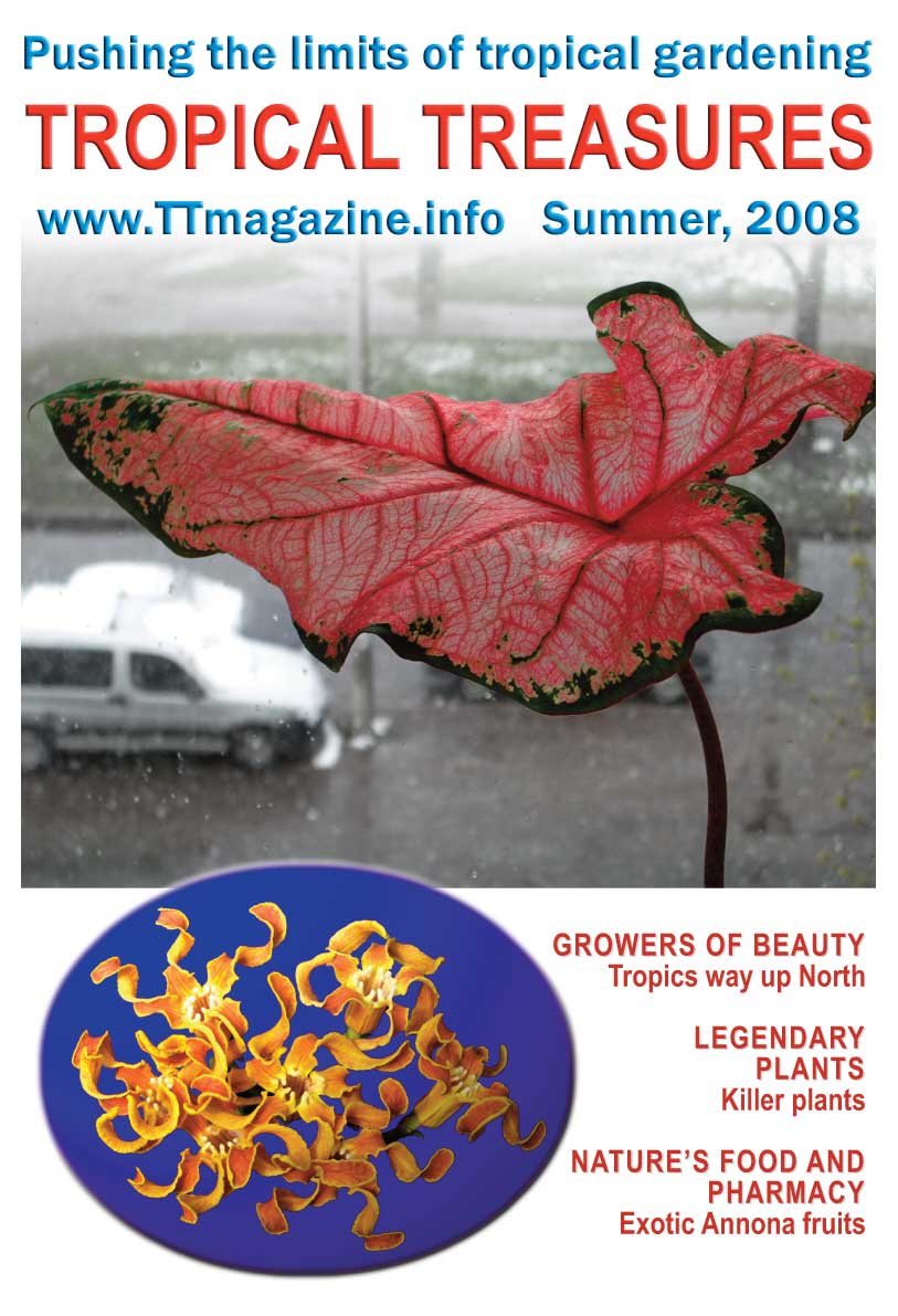 Tropical Treasures Magazine - 6 (Summer-2008) - hard copy